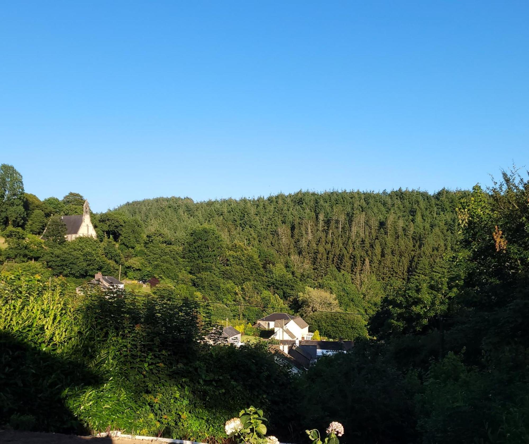 The White House Bed & Breakfast, Near Looe Bed & Breakfast Herodsfoot Exterior photo